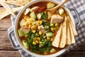 Spicy tortilla soup with chicken, cilantro, tomatoes, avocado an Royalty Free Stock Photo