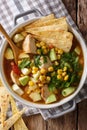 Spicy tortilla soup with chicken, cilantro, tomatoes, avocado an Royalty Free Stock Photo