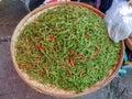 Tray with green and red chilli peppers