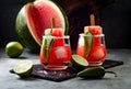 Spicy watermelon popsicle margarita cocktail with jalapeno and lime. Mexican alcoholic drink for Cinco de mayo party.