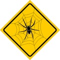 Spider Royalty Free Stock Photo