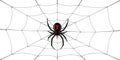 Spider Black Widow, cobweb. Red black spider 3D, spiderweb, isolated white background. Scary Halloween decoration icon Royalty Free Stock Photo