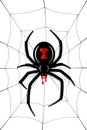 Spider Black Widow, cobweb. Red black spider 3D, spiderweb, isolated white background. Scary Halloween decoration icon Royalty Free Stock Photo