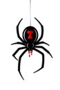 Spider Black Widow. Red black bug spider 3D, isolated white background. Scary Halloween redblack icon, symbol horror