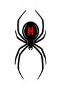 Spider Black Widow. Red black bug spider 3D, isolated white background. Scary Halloween redblack icon, symbol horror Royalty Free Stock Photo