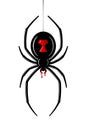 Spider Black Widow. Red black bug spider 3D, isolated white background. Scary Halloween redblack icon, symbol horror Royalty Free Stock Photo