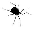spider black widow silhouette vector symbol icon design. Beautiful illustration isolated on white background Royalty Free Stock Photo