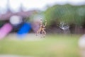 The spider climbs on the web. A brown spider waits for its prey in its web