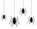 Spider collection, cobweb isolated on white background. Illustration for Halloween design. Spider web elements, spooky, scary,