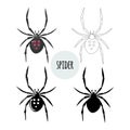 Spider. Collection of graphic images. Isolated on white background. Vector stock illustration. Flat design