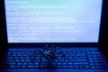 Metal spider on the computer keyboard, virus, blue screen, theme of information security Royalty Free Stock Photo
