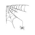 Spider crawling on the web one line art. Continuous line drawing of halloween theme, gothic, horrible, scary, black Royalty Free Stock Photo