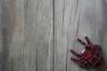 spider doll on old wooden background.