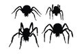 Spider full body silhouette collection. Wild insects sitting, silhouettes on a white background. Furry spiders and insects sitting Royalty Free Stock Photo