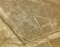 Spider geoglyph, Nazca mysterious lines and geoglyphs Royalty Free Stock Photo