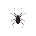 Spider graphic silhouette template vector isolated illustration