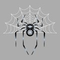 Spider gray