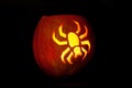 Spider Halloween pumpkin