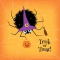 Spider halloween witch costume