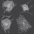 Spider hand drawn net set. Royalty Free Stock Photo