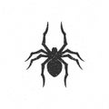 Spider hand drawn vector illustration