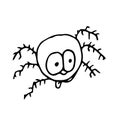 Spider hand drawn. Halloween Icon. Vector illustration Royalty Free Stock Photo