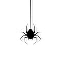 Spider hanging on cobweb. Halloween character. Vector illustration