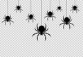 Spider hanging from spiderwebs isolated on png or transparent background, halloween banner, template for poster, brochure,