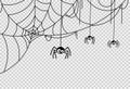 Spider hanging from spiderwebs isolated png or transparent texture, Halloween party background,blank space for text,element