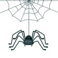 Spider is hanging on the thread of web. Cute cartoon insect. Vector illustration, cartoon flat style Royalty Free Stock Photo