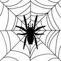 Spider on his web in doodle style. Halloween holiday concept. Black outline style. Vector illustration. Royalty Free Stock Photo