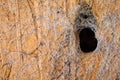 Spider Hole Royalty Free Stock Photo