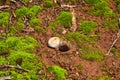 spider hole on the way to the Gruta da Lapa Doce cave, Chapada Diamantina in Bahia, Brazil Royalty Free Stock Photo