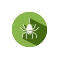 Spider. Icon on a green circle. Animal vector illustration