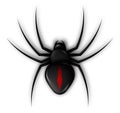 Spider icon for Halloween web banner decoration. Dangerous poisonous insects. Disease carriers. Ruthless hunter. Realistic vector