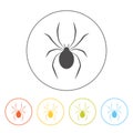 Spider icon