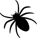 Spider icon silhouette isolated on white background.