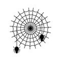 Spider icon vector set. halloween illustration sign collection. web symbol cobweb logo. Royalty Free Stock Photo