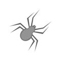 Spider icon vector sign and symbol isolated on white background, Spider logo concept Royalty Free Stock Photo