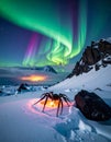 Spider Illuminated by Fire Under Aurora Borealis Royalty Free Stock Photo