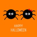 Spider insect family couple. Boy Girl. Happy Halloween card. Flat design