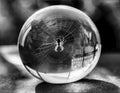 Spider inside glass globe black and white Royalty Free Stock Photo