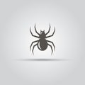 Spider isolated vector icon