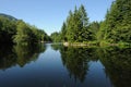 Spider lake and forest