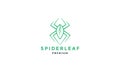 Spider leaf plant green   line art  logo icon vector illustration design Royalty Free Stock Photo
