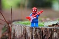 Spider lego toy figure on an outdoor background in Greenville, USA
