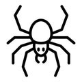 Spider line icon. Arachnid vector illustration isolated on white. Insect outline style design, designed for web and app Royalty Free Stock Photo