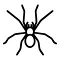 Spider line icon isolated on white background. Vector illustration