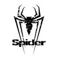 Spider logo in grunge style. Royalty Free Stock Photo