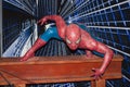 Spider-Man Royalty Free Stock Photo